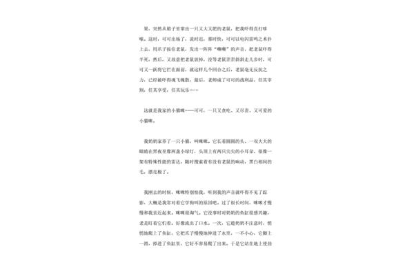 小猫作文600字
