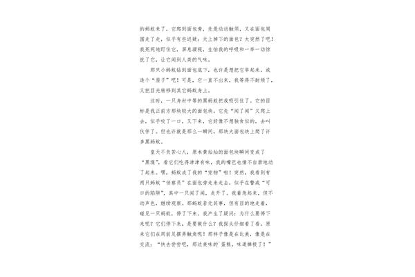 我的观察作文300字