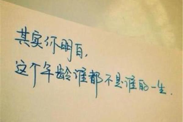描写心情失落的诗句