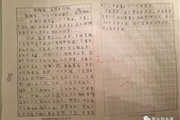 我想对您说作文350字