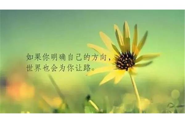 完美句子