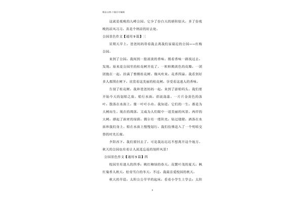 夜晚的公园作文