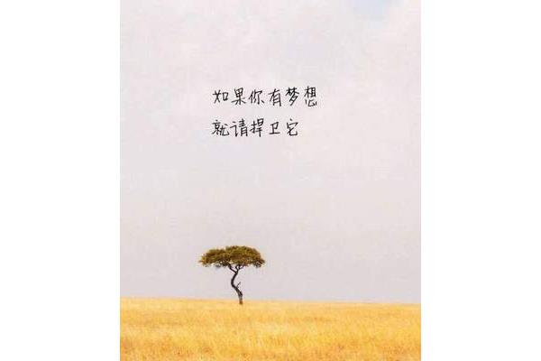 表示全力以赴的句子