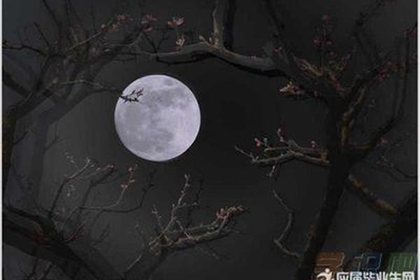 描写月亮的古诗句