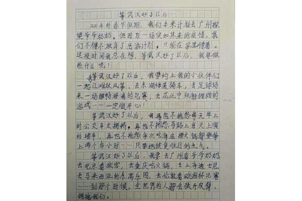 我心中的那一份真情作文