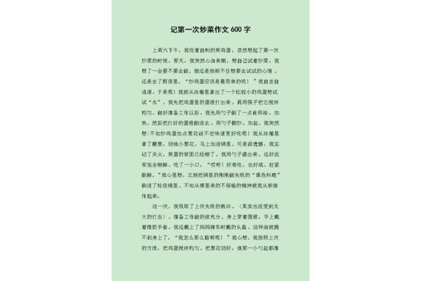 第一次炒菜作文