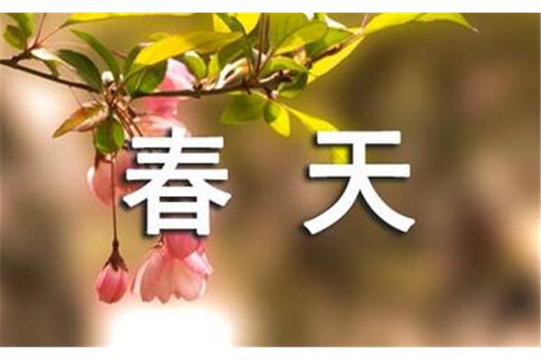 描写春天的短语