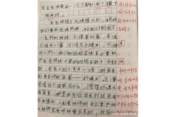 10000字作文