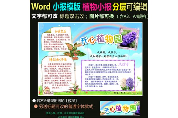 植物园的手抄报