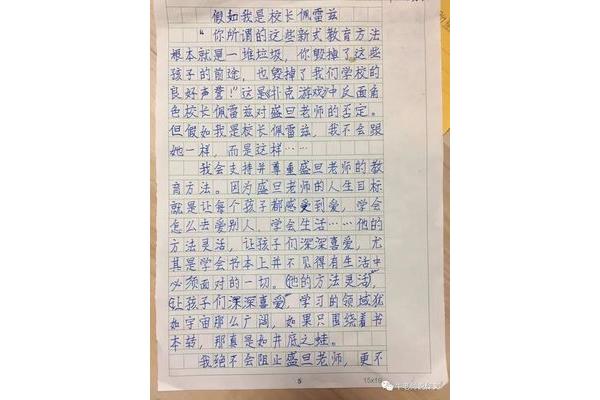 假如我是500字作文