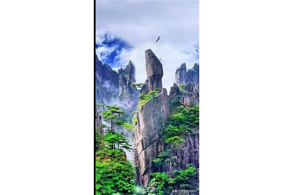 夸一个地方美的句子