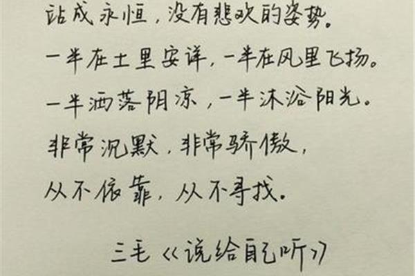 三毛的经典句子