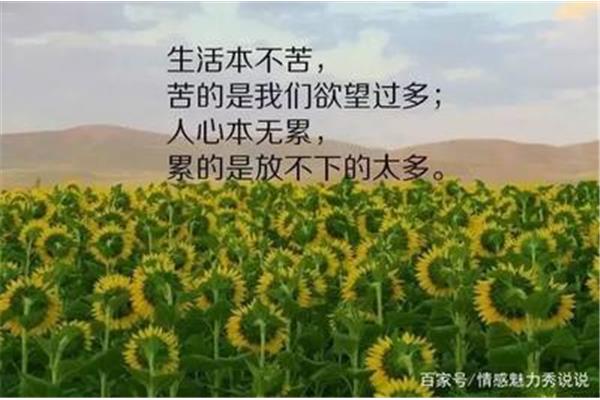 心累和身体累的句子
