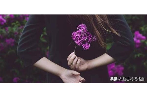 女人犯贱的句子