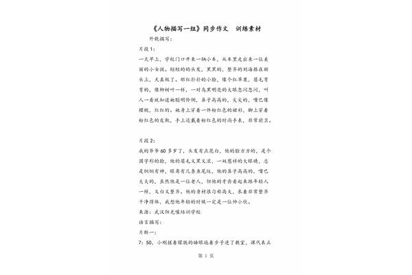 描写人物的作文250