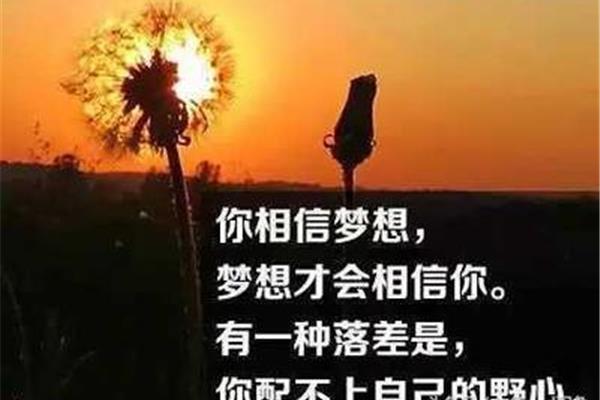 有一种什么叫什么的句子
