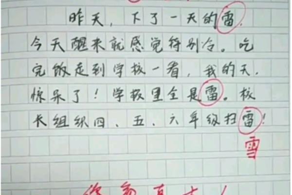 有关错别字的作文
