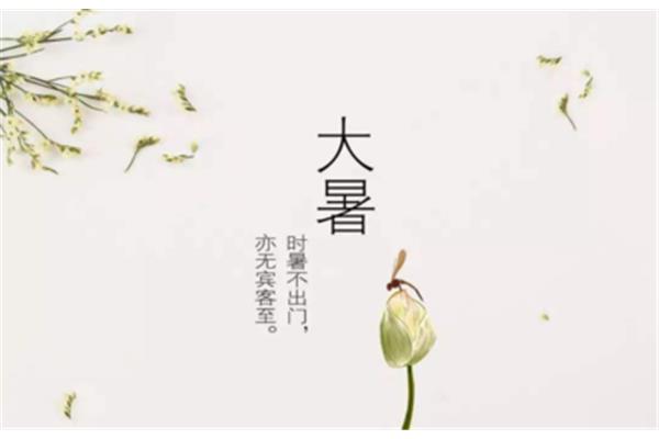 不出门的句子说说心情
