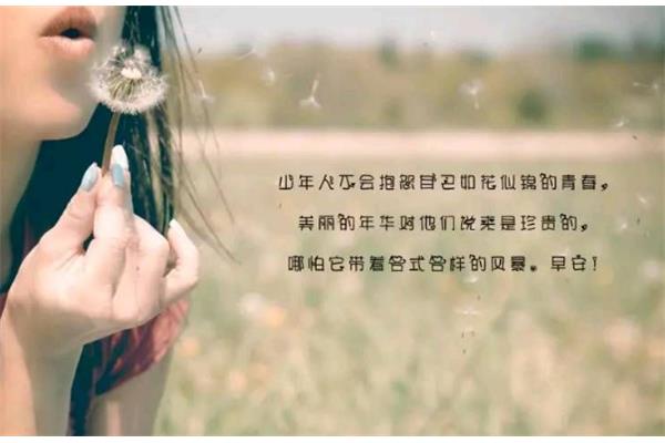 句子配图