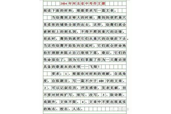 妈妈你真了不起的作文