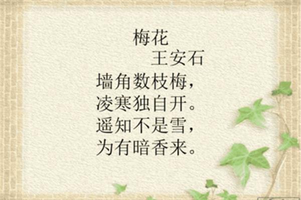 描写植物的古诗大全