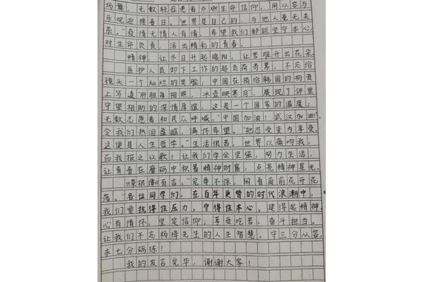 美丽的临沂作文