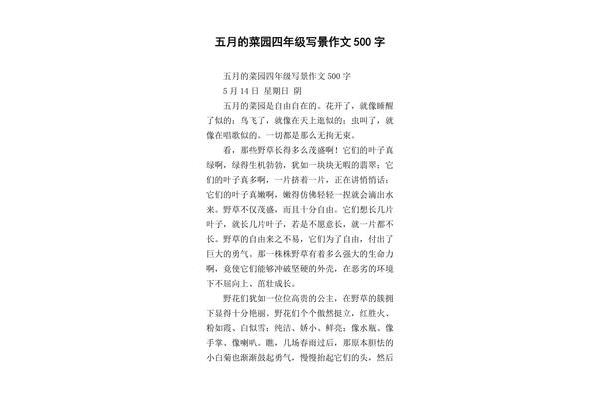 写菜园的作文