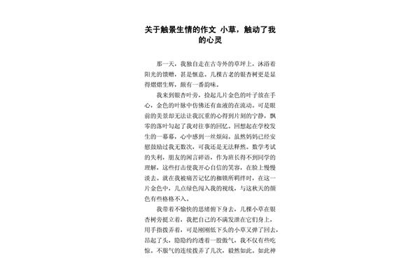 一棵小草作文