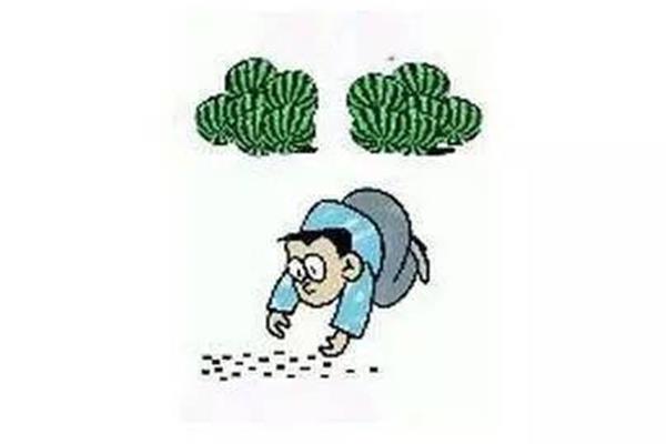 捡了芝麻丢了西瓜的故事