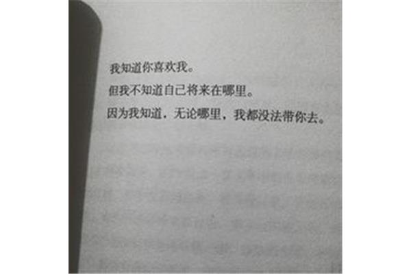 最悲观的伤感句子