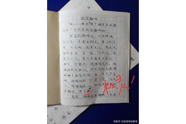 三百字以上的作文