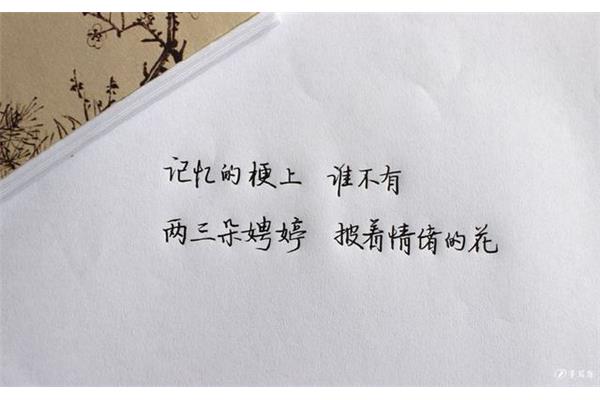 我不能没有你的句子