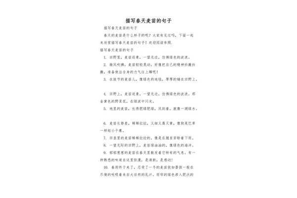 描写春天麦苗的句子