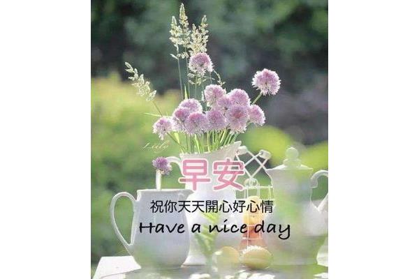 美丽心情的句子